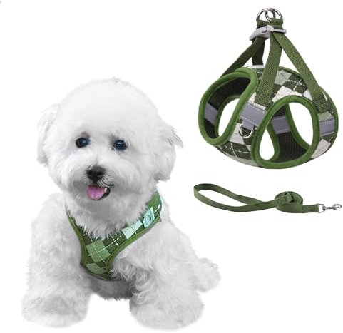 PawSailor Plaid-Hundegeschirr für kleine Hunde mit Leine, Step-in No Pull Step in weichem Mesh-Hundewestengeschirr, ausbruchsicher, reflektierend, für kleine Welpenhunde, Katzen, Grün, XS