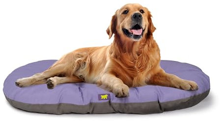 Ferplast Hundebett Relax, Hundekissen, Katzenkissen, Hundematte für Hundehütten und Autos – waschbar – aus Baumwolle mit weicher Polsterung, 85 x 55 cm. Lila