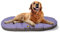 Ferplast Hundebett Relax, Hundekissen, Katzenkissen, Hundematte für Hundehütten und Autos – waschbar – aus Baumwolle mit weicher Polsterung, 85 x 55 cm. Lila