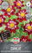 Sperli Dahlie Eefje 268287 - Blumensamen für eine Halskrausen-Dahlie in einer ansprechenden Farbkombination und einer Wuchshöhe von 110 cm - Blumenpflanzen, Saatgut