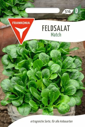 FRANKONIA Valerianella, Matcha - Semi di ortaggi, semi di lattuga (Valerianella locusta)
