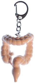 Miniblings Dickdarm Darm Organ Schlüsselanhänger - Handmade Modeschmuck I Anhänger Schlüsselring Schlüsselband Keyring - Dickdarm Darm Organ