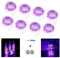 NEXVIN 8 Pezzi Luci Halloween Viola, Stringa Luci Led Micro 3 Meter 30 LED, Luci Impermeabile a Filo di Argento, Viola Catena Luminosa per Halloween Decorazioni