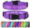 TagME Personalizzato Collare per Cani, Ricamato Collare Cane con Nome e Numero di Telefono, Nylon Riflettente per Cucciolo, Viola
