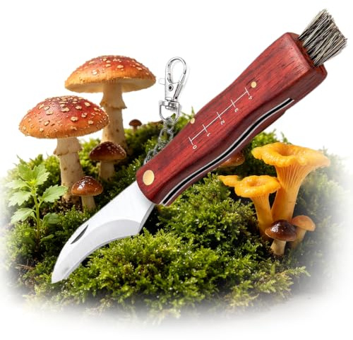 HONGECB Pilzmesser mit Bürste, 21cm Schwammerlmesser für Pilzsammler, Holzgriff Pilzmesser Klappmesser mit Lineal, gebogene Edelstahl-Klinge, Wildschweinborsten & Verlustschutz