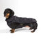 Fashion Dog Hundemantel speziell für Dackel - Schwarz - 39