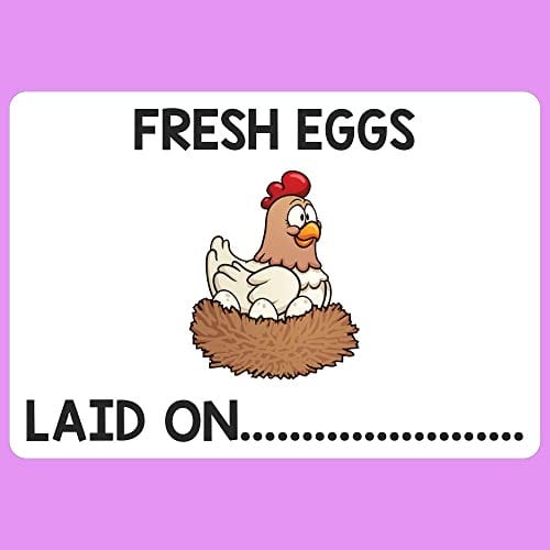 Chicken Egg Box Labels 180 Poultry Duck Personalised Carton Boxes Stickers Laid on