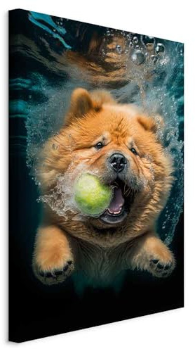 murando - Leinwandbild Chow-Chow schwimmend Ball, 40x60 cm, 1-teilig | Hochwertige Leinwand, sofort aufhängbar, ideal fürs Wohn- oder Schlafzimmer, wasserfest und lichtecht, langlebig, stilvoll