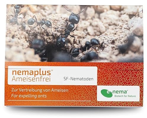 Ameisen bekämpfen mit e-nema SF Nematoden | 10 Mio. für 10 m² oder bis zu 10 Nester | Ameisenfrei