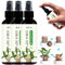 3pcs Brésilien Wood Plant Food, Engrais liquide pour le bambou chanceux, les plantes intérieures, la solution de soins de la plante d'intérieur 100 ml