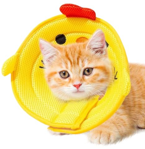 Cono per Testa Cane | Collare Elisabettiano per Animali Domestici | Protezione Ferite Impedire Leccare per Cuccioli Gattini Animali Piccoli Grandi