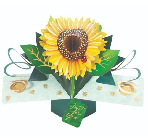 Second Nature Pop Ups Grußkarte PopUp Sonnenblume