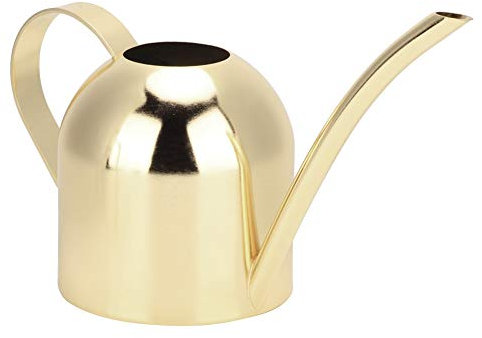 Mini Gießkanne Edelstahl 500ml Gold, Langhals Gießkanne für Zimmerpflanzen, Präzisionsgießer für Sukkulenten und Kräuter, Dekorative Bewässerungskanne für Innen- und Außenbereich