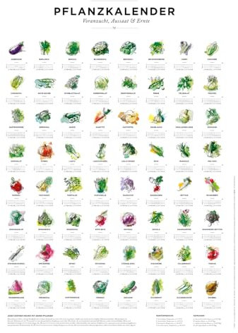 Pflanzkalender und Aussaatkalender für den Garten, Aussaatzeiten für 64 verschiedene Gemüsesorten als Poster in Farbe mit und ohne Rahmen (Mit Posterleiste Side by Side, A2 (42x59.4cm))