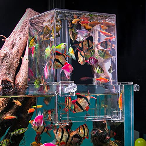 Hifybaty Aquarium mit Unterdruck: Klarer Fischaufzug, Wasser, automatisches Nachfüllen, Vakuum, hängender Wasserstand, erhöht den Aktivitätsbereich der Fische, Aquarium-Dekoration