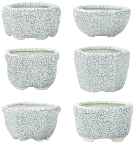 happy bonsai Lot de 6 mini pots émaillés de 4,5 cm, gris et blanc