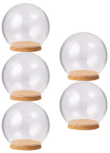 EXCEART 5 Pz Trasparente Vetro Cloche Globo Display Cupola con Base in Legno Decorativo Vetro Cloche Campana Barattolo Vetrina per Oggetti da Collezione Rosa Incantata Piccoli Campioni di