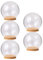 EXCEART 5 Pz Trasparente Vetro Cloche Globo Display Cupola con Base in Legno Decorativo Vetro Cloche Campana Barattolo Vetrina per Oggetti da Collezione Rosa Incantata Piccoli Campioni di