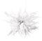 ihreesy Elegante Brosche Damen Feder, Vintage Haarschmuck Brosche Party Kleidung Dekor Kopfschmuck Hochzeits-Brosche Damen-Feder-Brosche Feder-Blumen-Brosche Feder Stirnband Kopfschmuck,Weiß