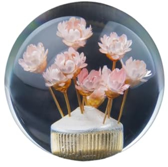 Gang Schaltknäufe Auto Manueller Schaltkopf Schaltknauf Stick Crystal Transparent Flower Gear(Pink)
