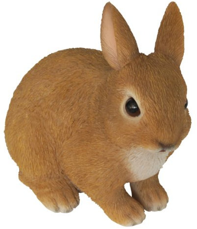 Décoration de la vie réelle d'un jeune lapin assis Vivid Arts