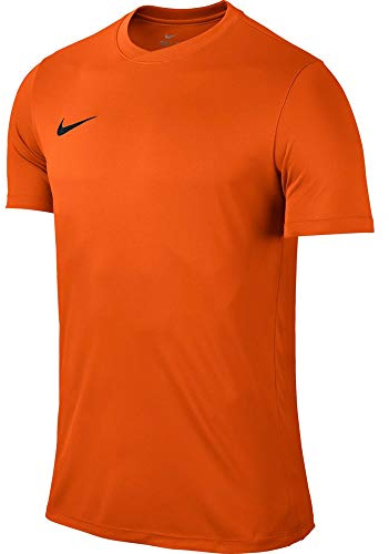 Nike Park VI SS Jersey