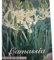Blumenzwiebeln in Geschenkverpackung - Zwiebeln, Knollen verschiedener winterharter Pflanzen für Garten und Balkon - bunt (6 Zwiebeln Camassia Leichtlini Alba (Prärielilien))
