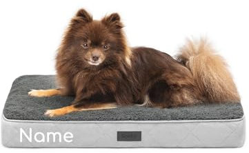 lionto Hundebett orthopädisch, 60x40x8 cm, Robustes Hundekissen mit weichem Plüsch, Bezug abnehmbar & waschbar, wasserabweisend, geeignet für kleine & große Hunde + Katzen, grau (Namensaufdruck)