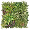BONERVA | Jardín Vertical Artificial Creta | Pack 3 Piezas 50x50cm | Planta Artificial Decorativa para hogar, Oficina, Hotel, Restaurante | MAL1224