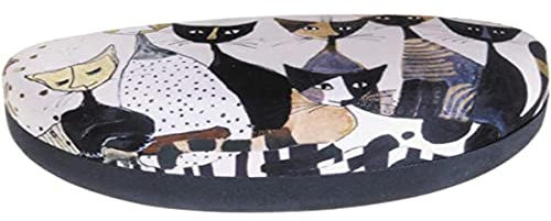 Fridolin Wachtmeister Kingsize Brillenetui, Mehrfarbig, 16x8x6 cm