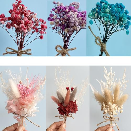 ysister Bündel Mini Trockenblumen Pack of 6 Trockenblumen Zum Basteln Dried Flowers Trockenblume Dried Flowers for Crafts for Picture Frames, DIY Home Party and Wedding Decoration