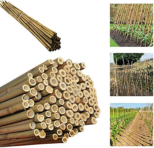 Gardens 2Ft,3Ft,4Ft,5Ft,6Ft,7Ft,8FT,10Ft Strong Heavy Duty Professional Bamboo Plant Support Garden Canes (10, 3ft, 12-14 mm)