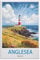 Educational Intellectual， Anglesea Wales，Adults 1000 Piece Jigsaw Puzzle- Christmas，70x50，paper puzzle，AA-741