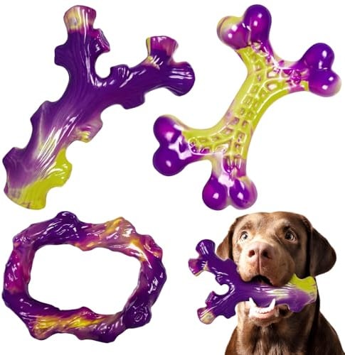 ChienBox Hundespielzeug Unzerstörbar 3er-Pack: Hart Kauspielzeug Hund für Aggressive Kauer, Spielzeug Hund für Mittelgroße bis Große Hunde, Unzerstörbares Hundespielzeug mit Zahnpflege, Spielzeug Hund