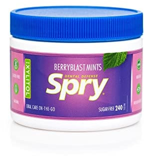 Spry Xylitol Breath Mints Sugar Free, Berry Blast, 240 Count - Pack of 1 | Natural, Non-GMO, Gluten-Free for Cavities, Bad Breath Freshening, Dry Mouth, Promote Oral Health, Increase Saliva Production