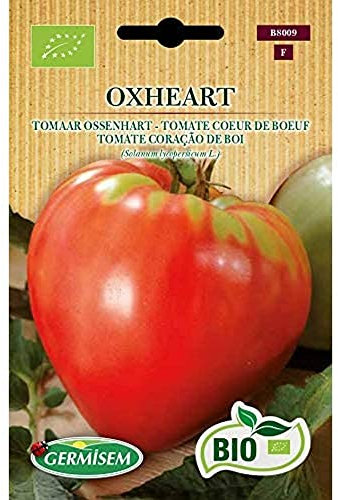 Germisem Orgánica Oxheart Semillas de Tomate 0.5 g (ECBIO8009)