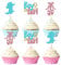 Gyufise 24Pcs Boy or Girl Cupcake Toppers Boots or Ballet Shoes Gender Reveal Cupcake Picks Baby Shower Cake Topper Decorations for Kids Birthday Party Cake Decorations Supplies