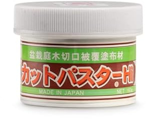 Narbenpaste Cut Paster (Deckel Weiß), ideal für Nadelbäume, ermöglicht die Narbenbildung von Schnitten, verhindert Schimmel und Nekrose des Holzes, Zubehör für Bonsai, 160 g
