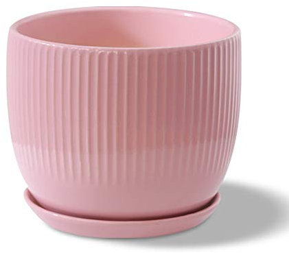 DSHUB Extra Large Pot de Fleur en Céramique Plantes Succulentes en Pot Pot en Céramique Série Plante Succulente Pot Cactus Plante Pot Fleur Bonsaï Pots Conteneur Jardinière (Couleur : Rose, Taille