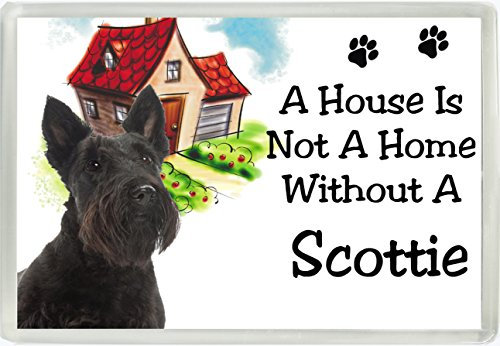 A House Is Not A Home Without A Scottie Dog Jumbo Fridge Magnet Ideal Birthday Gift 731