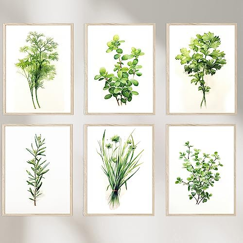 Dekomundo Kräuter Bilder 6er Set - Wanddekoration für die Küche und Esszimmer, 6x A4 (21x30 cm)