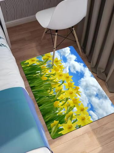 EWFAS Badteppich,EIN Feld Gelber Narzissenblüten Vor Einem Blauen Himmel,viele schöne Badematten zur Auswahl Badvor leger sehr weich und rutschfest waschbar und schnelltrocknend40x60cm