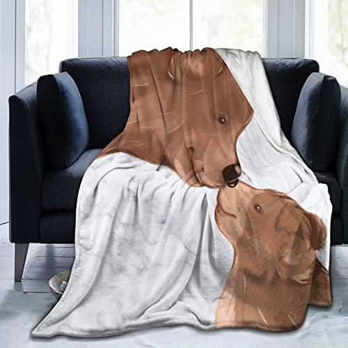 Perinsto Niedlicher Bären-Überwurf, Mutter und Kind, küssende Familie, ultraweich, warm, für alle Jahreszeiten, dekorative Fleece-Decken für Bett, Stuhl, Auto, Sofa, Schlafzimmer, 152.4x127.7 cm
