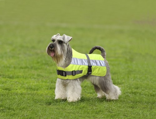 Petlife Flectalon Hi-Vis Dog Jacket Complete with Thermal Lining, 20-inch, Fluorescent Yellow