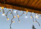 LEDZEIT- Profi Serie - LED Eisregen Lichterkette Außen, Blinkend, Icicle light, Verlängerungskette ohne Netzkabel, 3m x 0.5m, Warmweiß, Erweiterbar bis zu 288m, für Weihnachten, Gebäude, Geschäfte