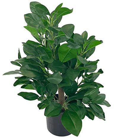 AQS INTERNATIONAL - Monstera Plant Realistic Large Artificial Trees Potted 50cm - Faux Plants, Fake Plant Leaf, Modern Decorative Green Plant For Home Living Room Office, Indoor Outdoor Garden