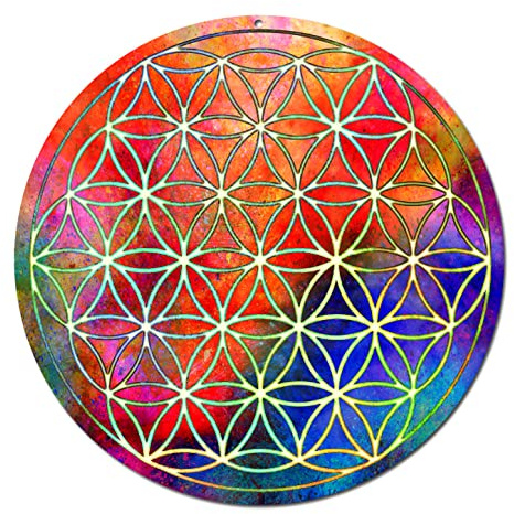 Sonnenfänger Blume des Lebens Nr. 16.1 Ø 20cm · Schutzsymbol · Geschenk Idee Weihnachten Geburtstag · Meditationszubehör Yoga Lebensblume · Fensterbild hängend · Fensterschmuck