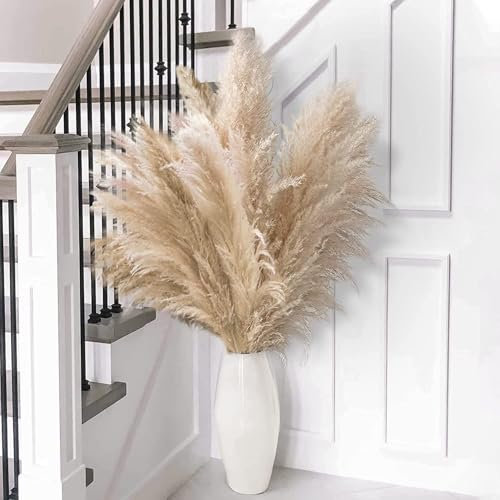 Frogetu 10 Pièces Bouquet Fleurs Séchées Naturelles 100cm,Pampas Sechees Decoration,Plantes Décoratives en Herbe Pampa,pour Fête de Mariage Ferme Bohème Décoration de Maison
