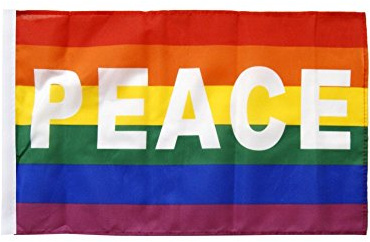 Flaggenfritze® Flagge Regenbogen mit Peace - 30 x 45 cm