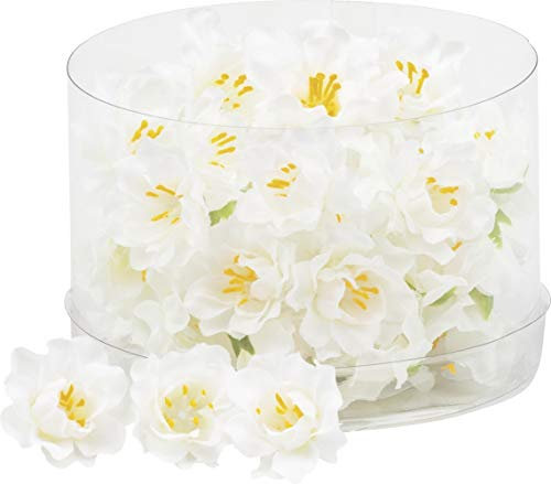 KnorrPrandell 6529790 Blüten, 2.5 cm, weiß